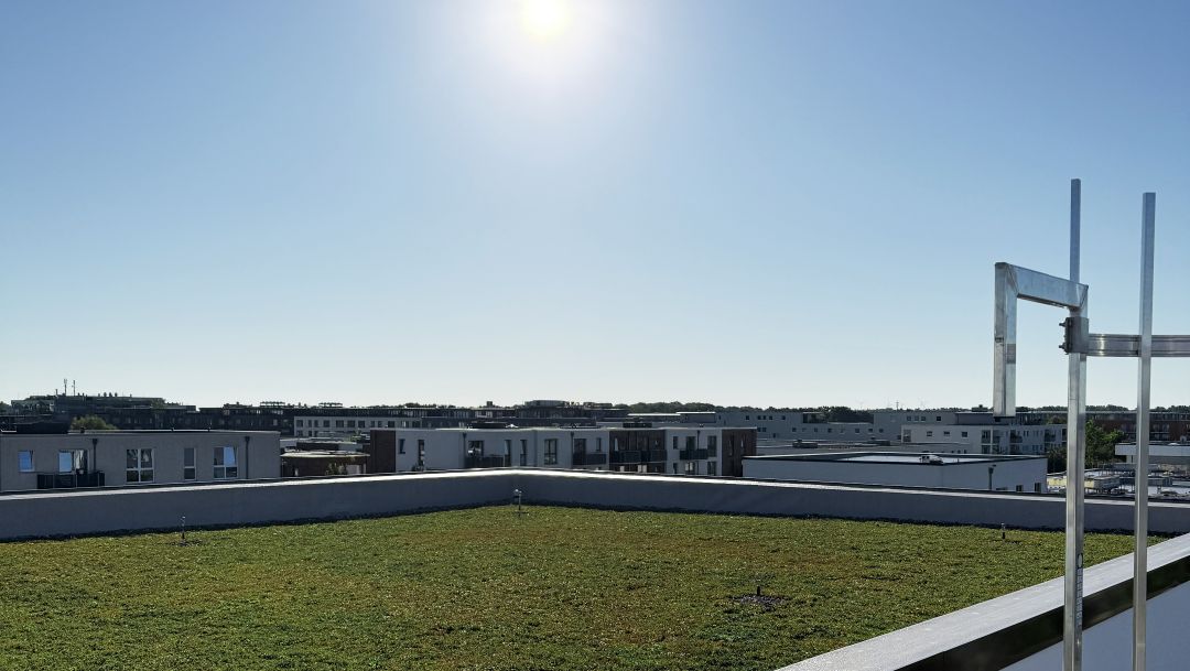 Freytag & v.d. Linde Neubau Bürogebäude aussen Dachbegrünung Lübeck