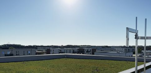 Freytag & v.d. Linde Neubau Bürogebäude aussen Dachbegrünung Lübeck